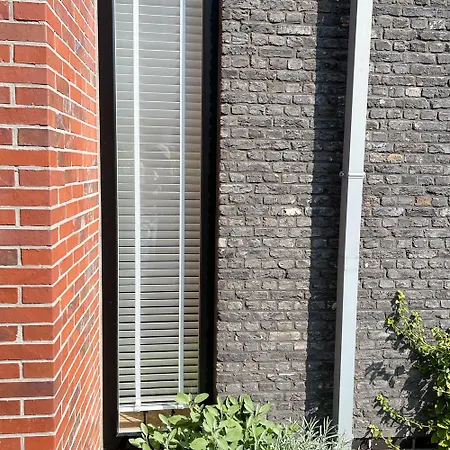 Sylter Strandholz Dom wakacyjny