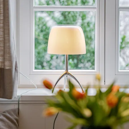 Sylter Strandholz * Westerland